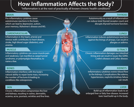 INFLAMMATION | The Good | The Bad | The Answer