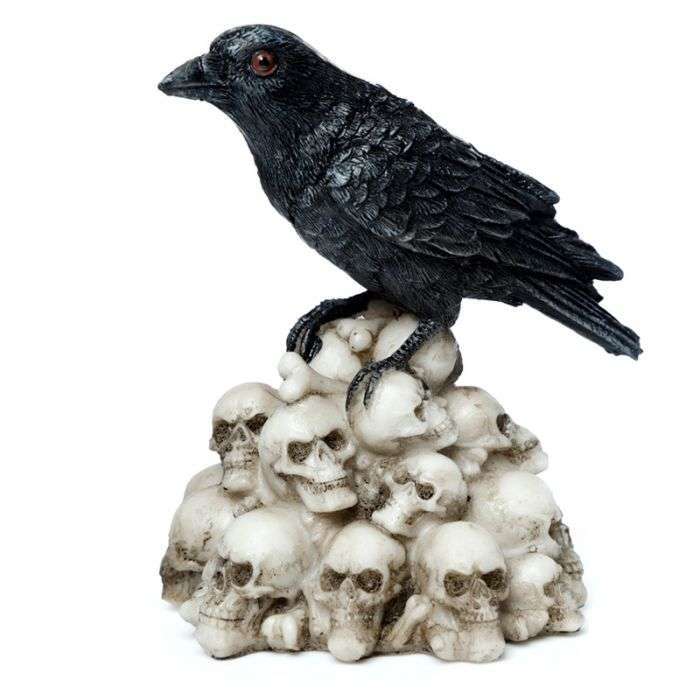 Crow Standing on Pile of Skulls