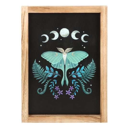 Wall Art Luna Moth Wooden Framed