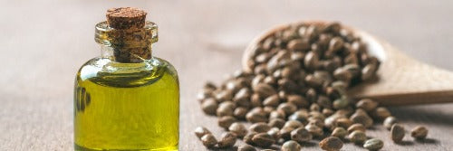 OMEGANZ Hemp Seed Oil 250ml Hemp Seed Oil is often touted as a ‘miracle food’. The undisputed truth is that this unique oil contains more than 75 percent polyunsaturated essential fatty acids (PUFA’s). Featuring a composition of Essential Fatty Acids (EFAs) – LA (Omega 6) and ALA (Omega 3) in a 3:1 ratio. It also contains smaller amounts of Gamma Linolenic Acid (GLA), and Stearidonic Acid (SDA), which are biological metabolites of the Omega 6 and Omega 3 EFAs respectively.