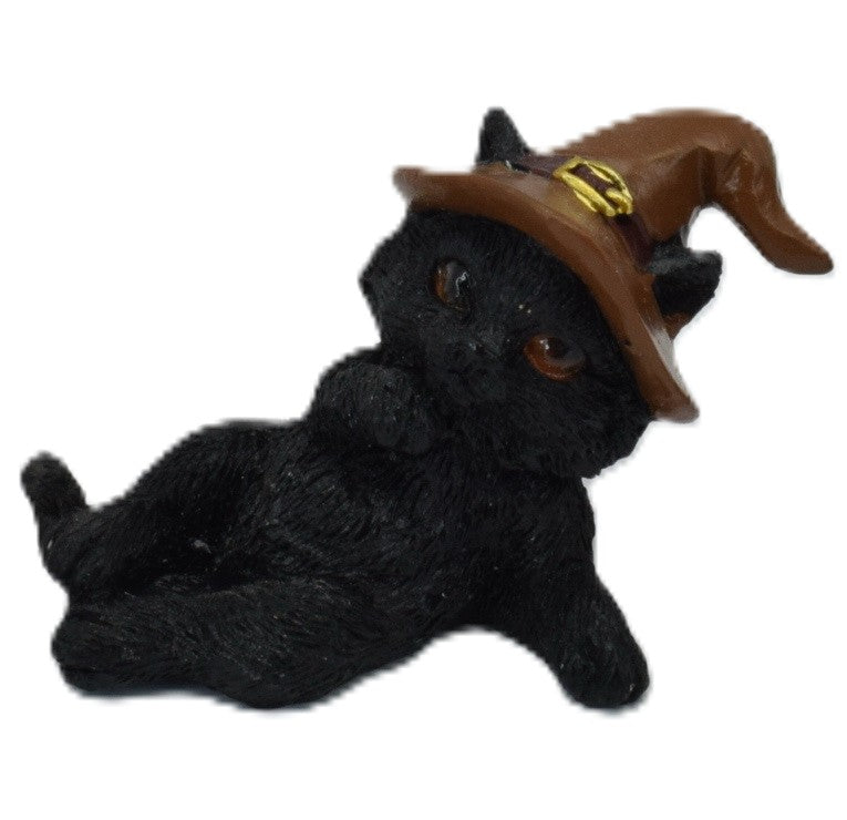 Baby Witch Cat
