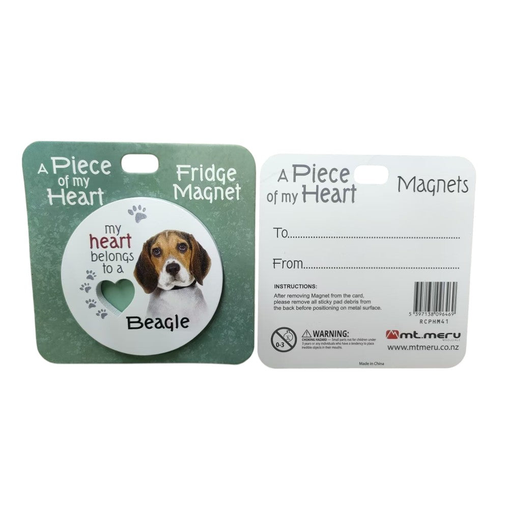 Beagle Piece of My Heart Magnet