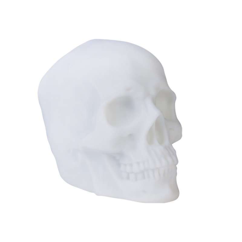 Skull Speaker