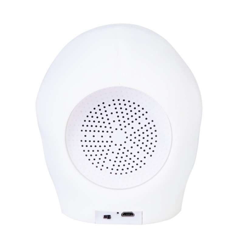 Skull Speaker