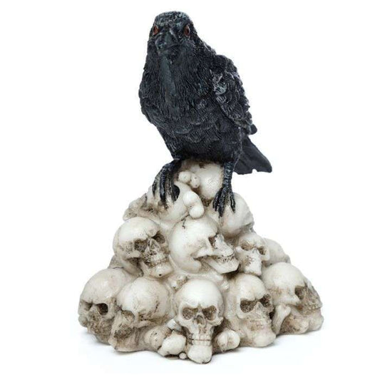Crow Standing on Pile of Skulls