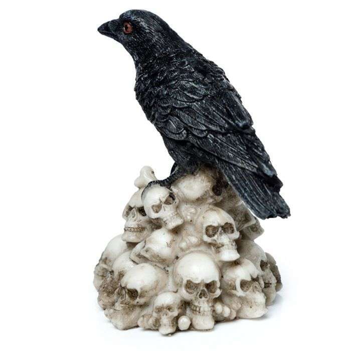 Crow Standing on Pile of Skulls