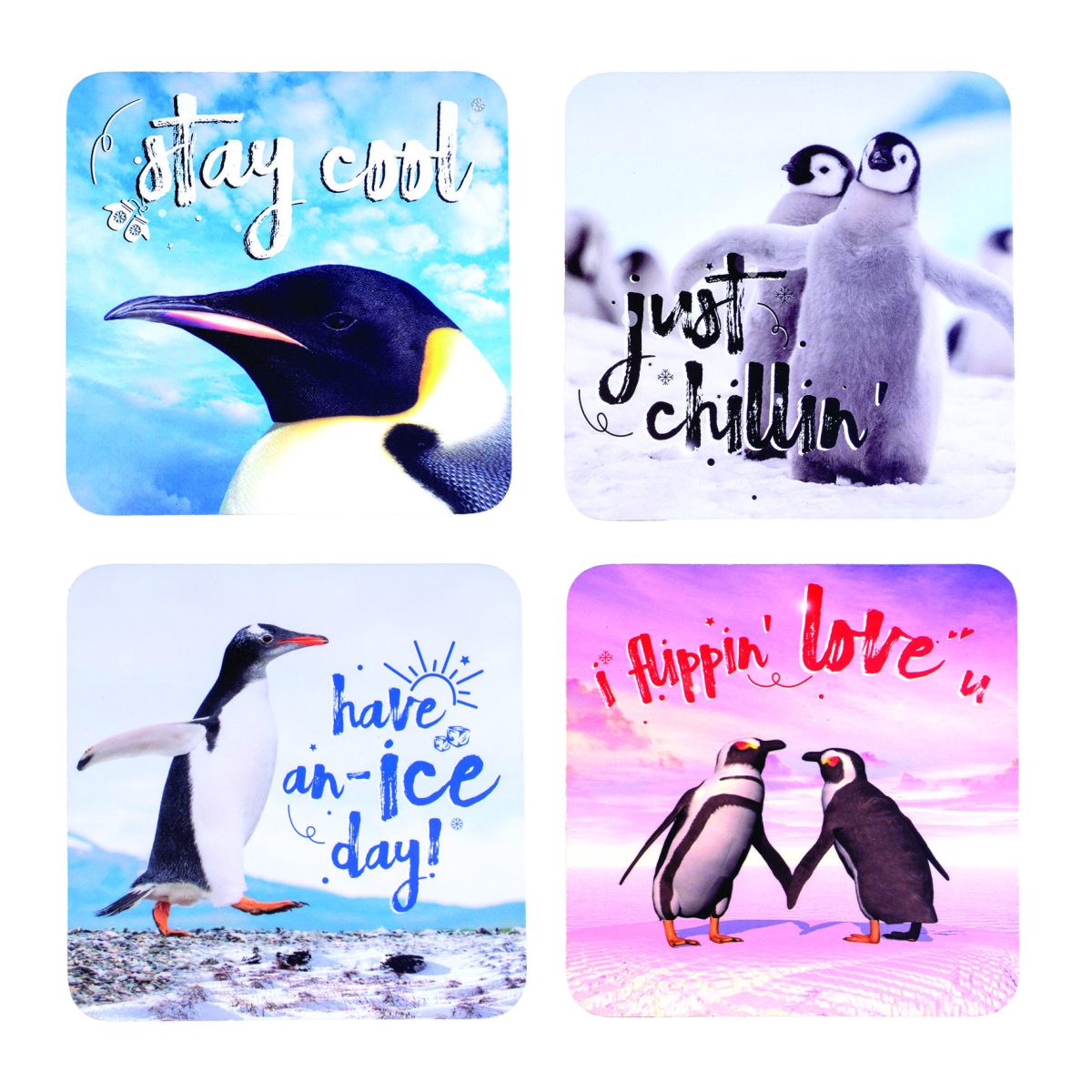 Penguin Coasters Set