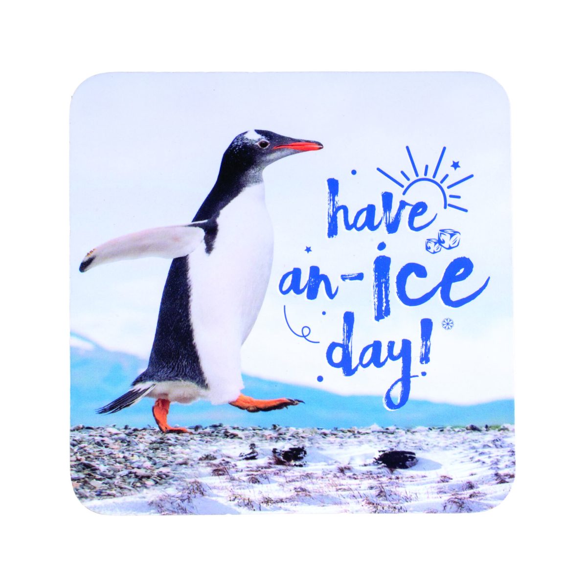 Penguin Coasters Set
