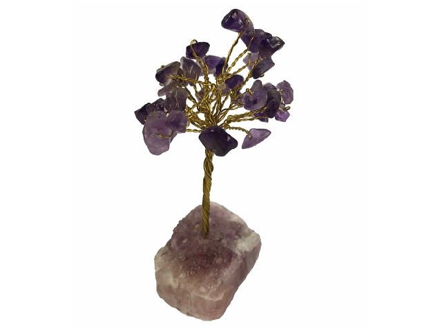 Amethyst Gem Tree Single - MarshallsHealthShop