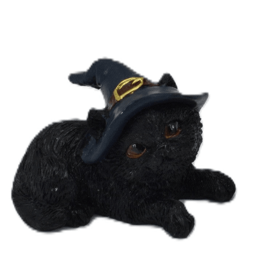 Baby Witch Cat - MarshallsHealthShop