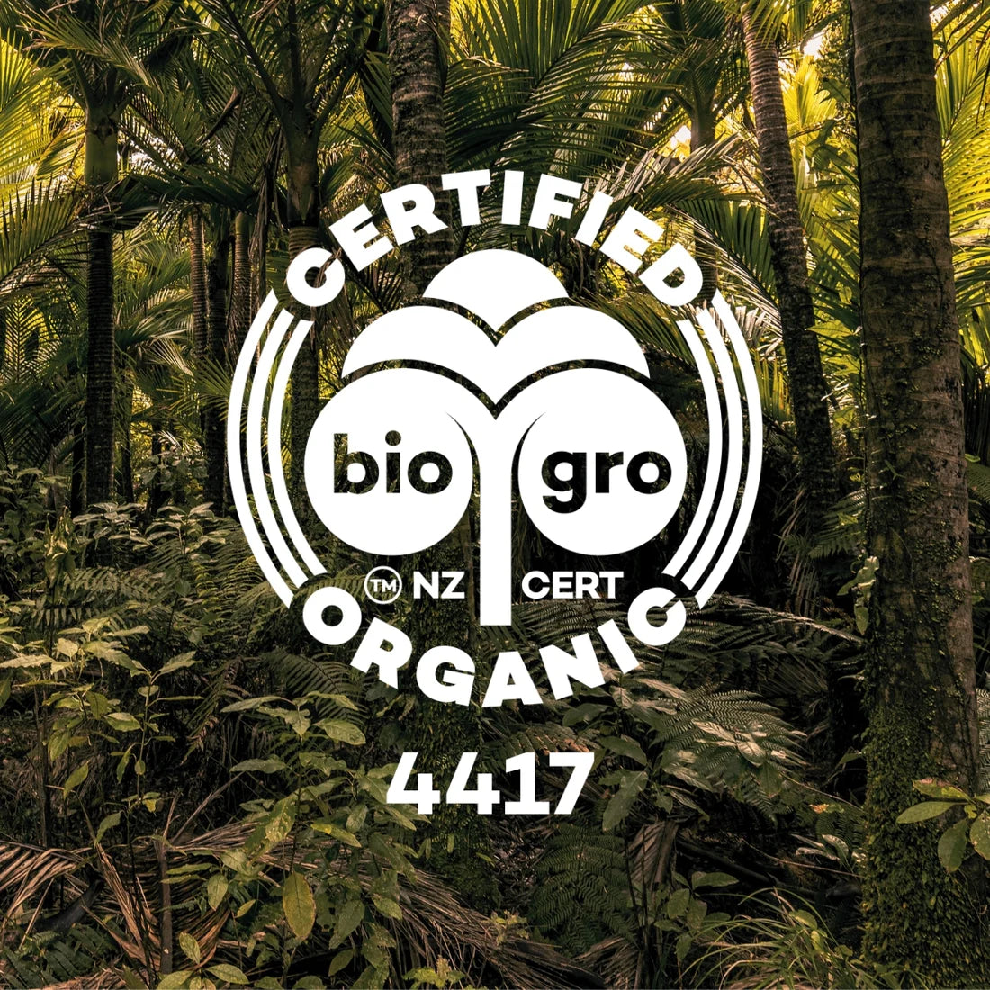 KIWIHERB Organic De-Stuff