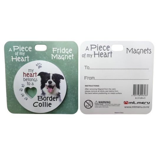 Border Collie Piece of My Heart Magnet - MarshallsHealthShop