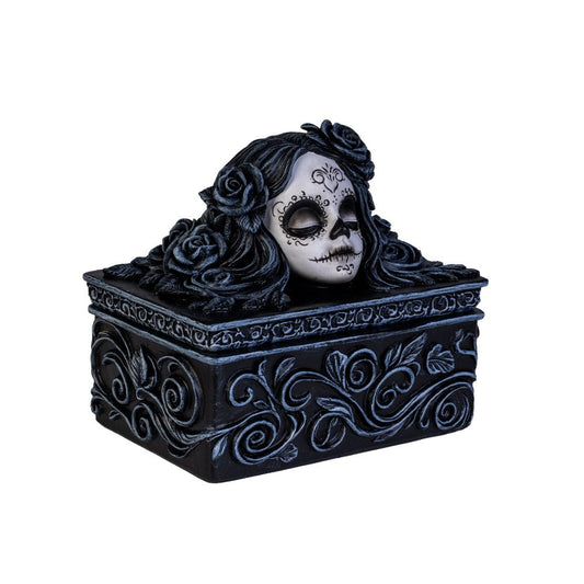 Dead Beautiful Tarot Box
DESCRIPTION
Charming Day of the Dead inspired sugar skull lady adorns the lid.
Perfectly sized for tarot cards, jewelry, and keepsakes.
Crafted with gothic details and spooky elegance in every swirl.
Makes a unique gift for tarot fans and lovers of the uncanny.
Adds quirky personality and dark beauty to any space.
1st Stop, Marshall's Health Shop, Gift Shop!