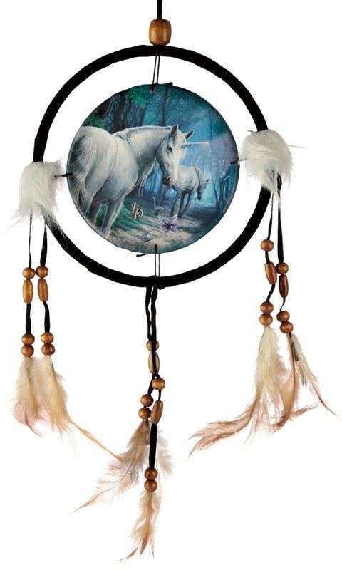 Dreamcatcher, The Journey Home 16cm - 1st Stop Marshall's Health Shop, Gift Shop! - Heath and Natural Therapy New Brighton Christchurch - Naturopath