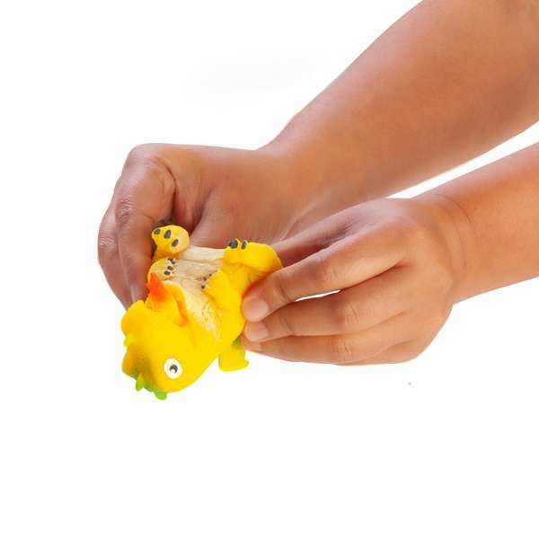Flip Dragon - MarshallsHealthShop