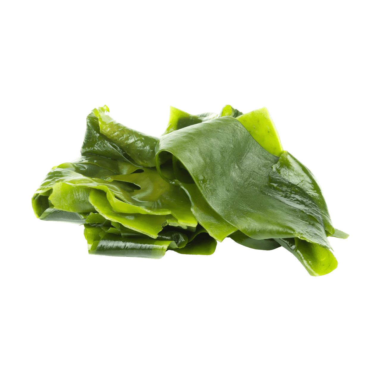 Harker Herbals Celtic & NZ Sea Salt with Kelp - 1st Stop Marshall's Health Shop, Gift Shop! - Heath and Natural Therapy New Brighton Christchurch - Naturopath