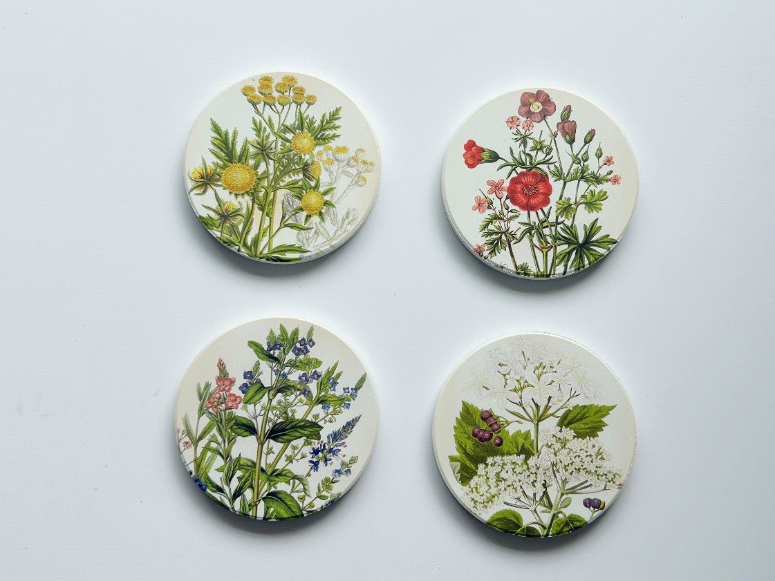 Salisbury Coasters Medicinal Plants 9cm (4) - 1st Stop Marshall's Health Shop, Gift Shop! - Heath and Natural Therapy New Brighton Christchurch - Naturopath