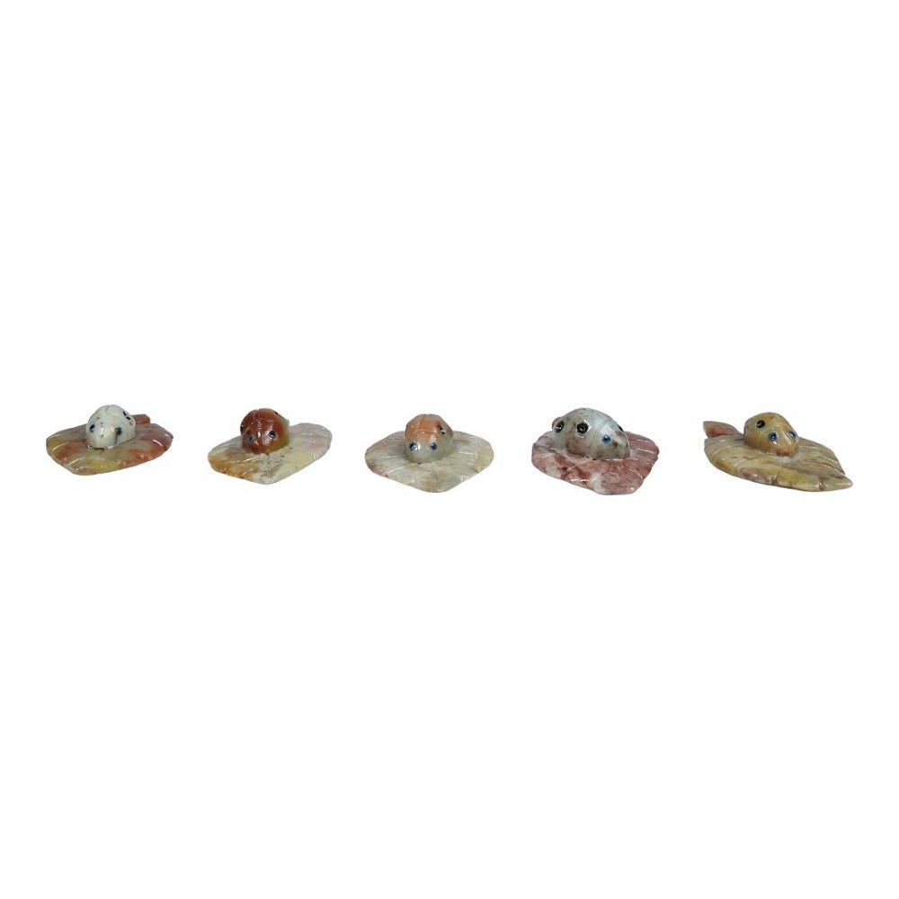 Soapstone Lady Bug Carving - MarshallsHealthShop