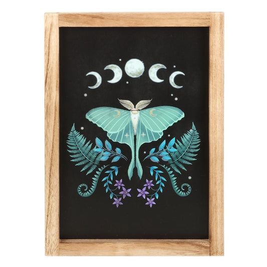 Wall Art Luna Moth Wooden Framed - MarshallsHealthShop