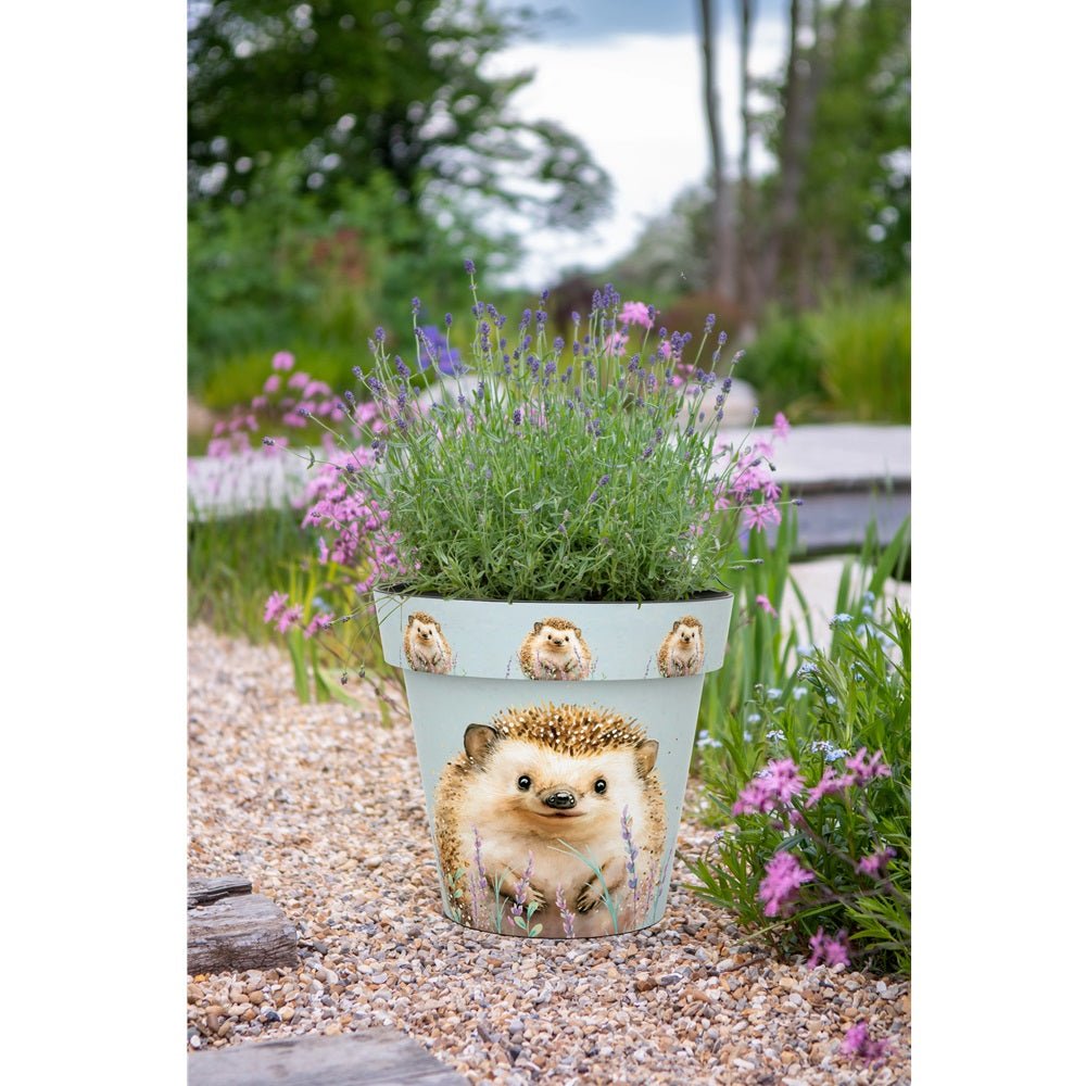 Zest Hedgehog Garden Pots - 1st Stop Marshall's Health Shop, Gift Shop! - Heath and Natural Therapy New Brighton Christchurch - Naturopath