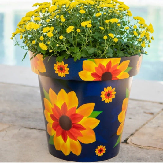 Zest Sunflower Garden Pots - 1st Stop Marshall's Health Shop, Gift Shop! - Heath and Natural Therapy New Brighton Christchurch - Naturopath