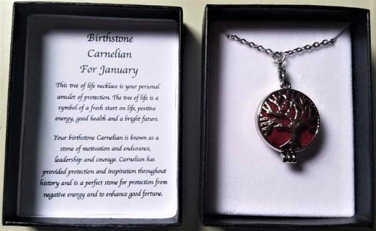Carnelian January Birthstone Necklace