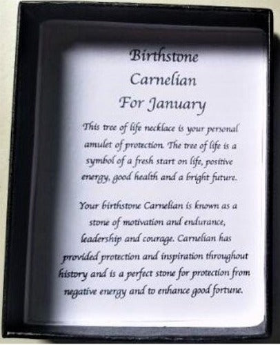 Birthstone Necklace Carnelian January