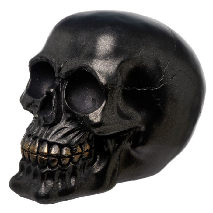 Metallic Black Skull Decoration - 1st Stop Marshall's Health Shop, Gift Shop! - Heath and Natural Therapy New Brighton Christchurch - Naturopath
