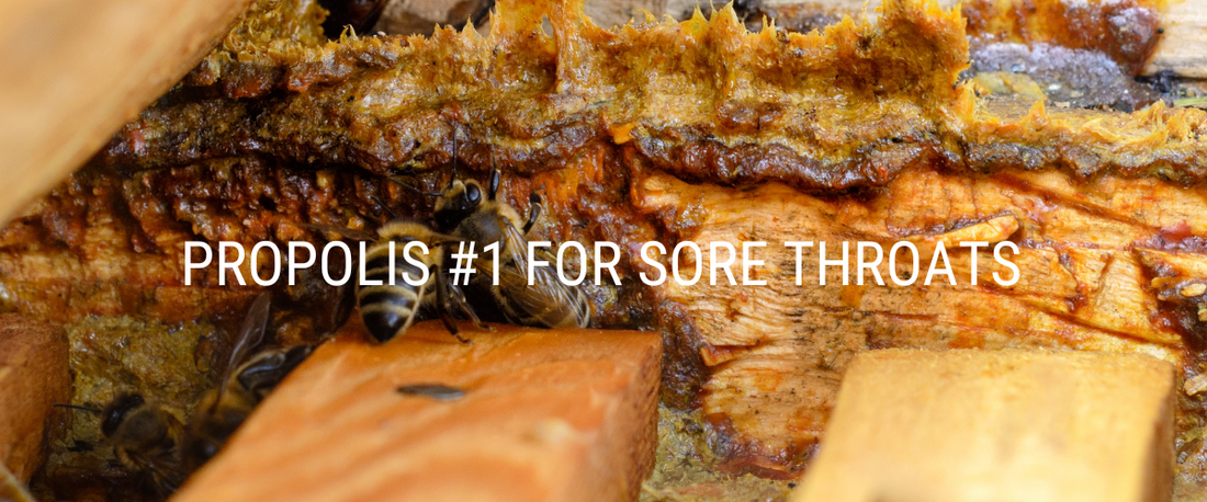 Marshalls Health Shop - PROPOLIS # 1 for Sore Throats!