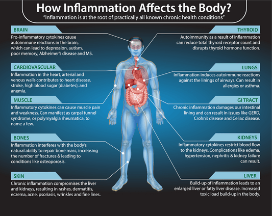 INFLAMMATION | The Good | The Bad | The Answer - MarshallsHealthShop