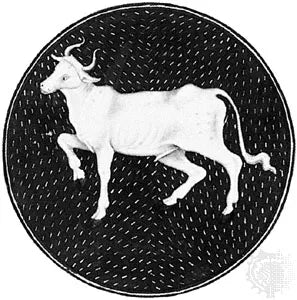 Zodiac - Taurus Constellation and Astrological Sign