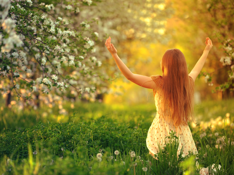 Deodorant & Perfume - MarshallsHealthShop