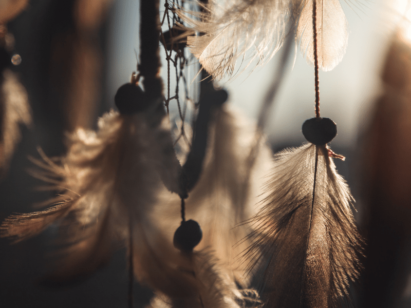 Dreamcatchers - MarshallsHealthShop