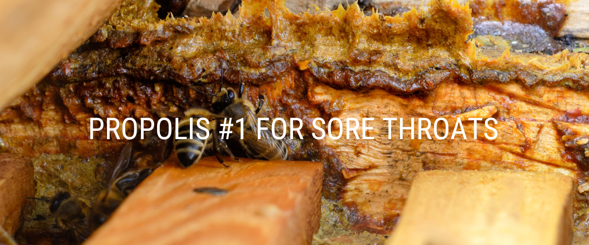 Propolis #1 for Sore Throats - MarshallsHealthShop