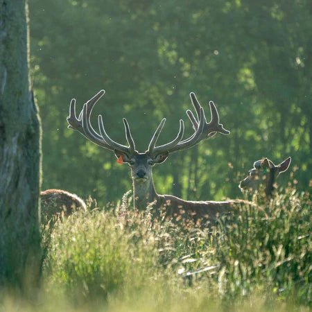 Pure Vitality - MarshallsHealthShop