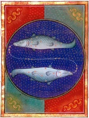 Zodiac - Pisces Constellation and Astrological Sign - MarshallsHealthShop