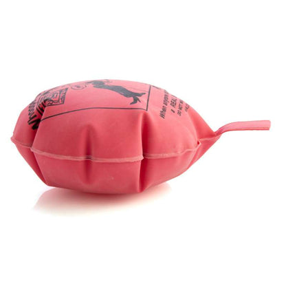 Whoopee Cushion