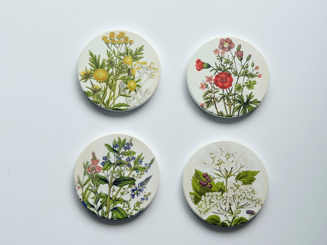 Salisbury Coasters Medicinal Plants 9cm (4)