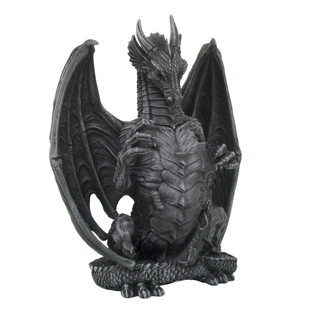 Black Dragon Guarding