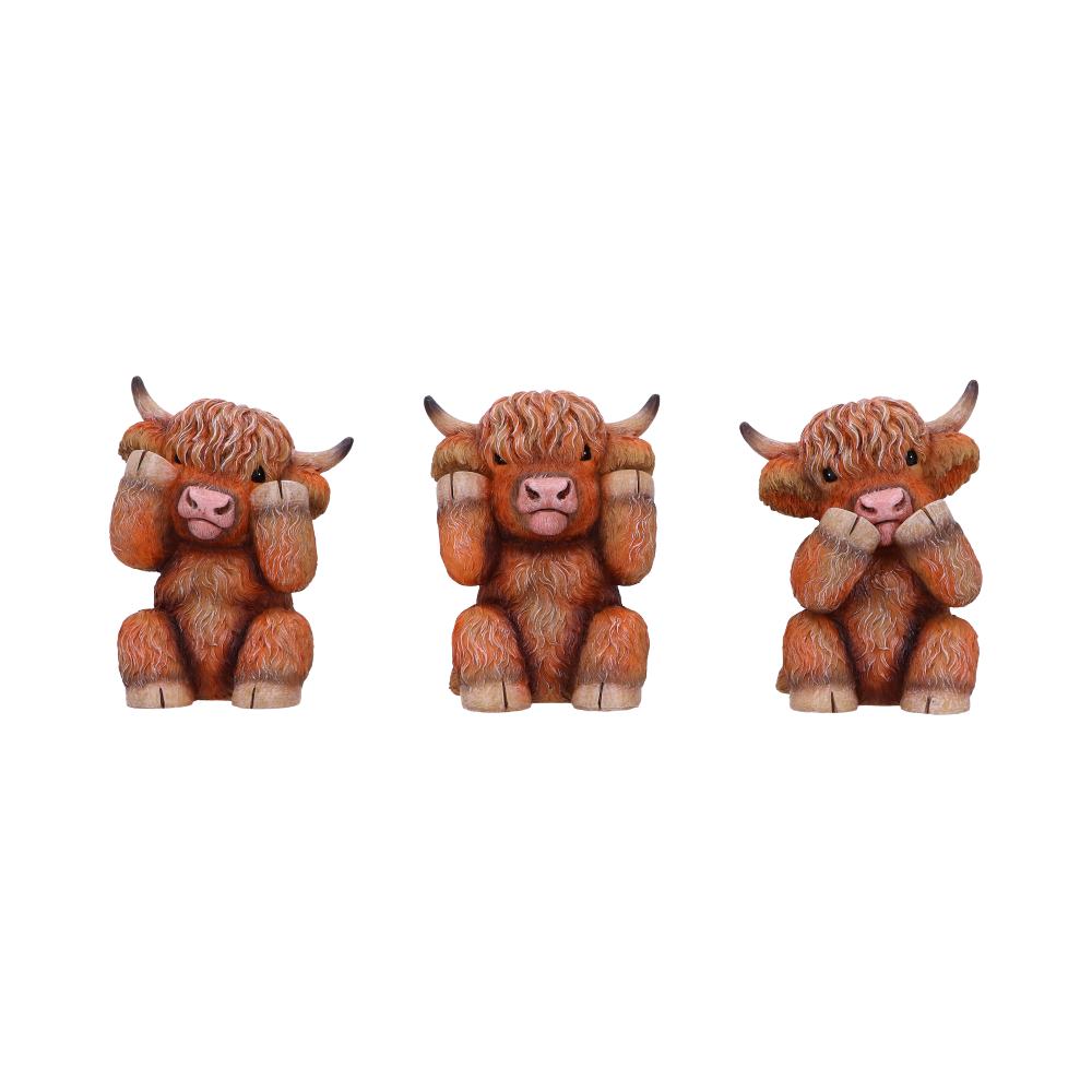 Nemesis Now Three Wise Highland Cows 9.6cm