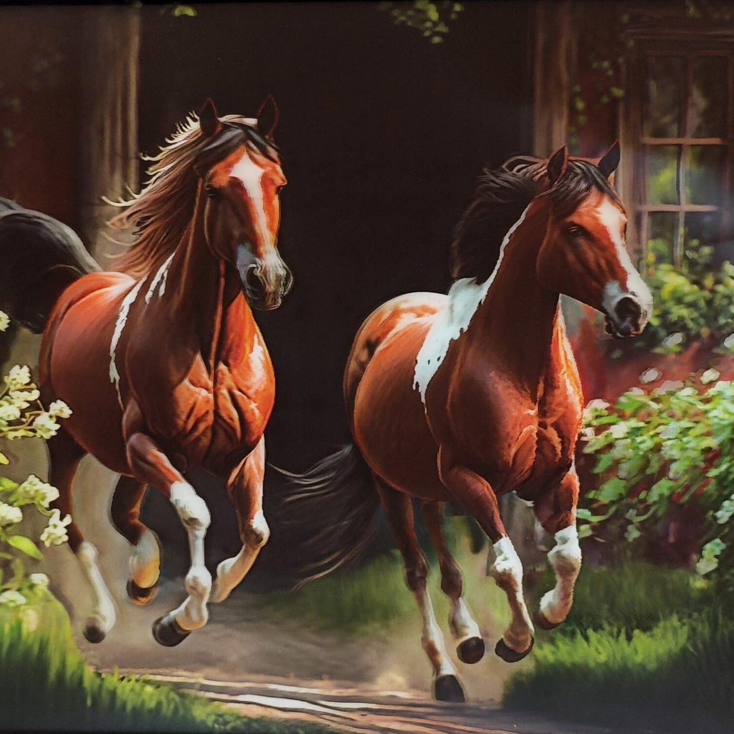 3D Art Horses 30x40CM - MarshallsHealthShop