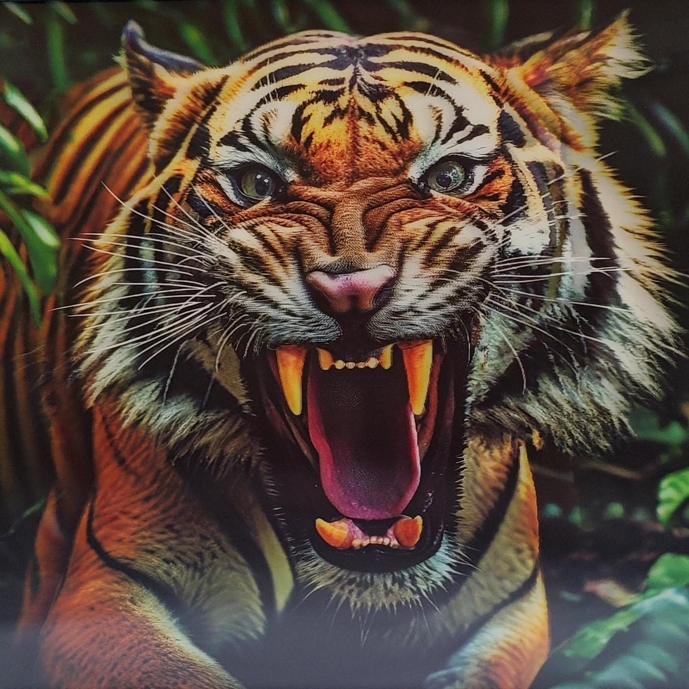 3D Art Tiger Leaping 30x40CM - MarshallsHealthShop