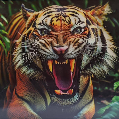 3D Art Tiger Leaping 30x40CM - MarshallsHealthShop
