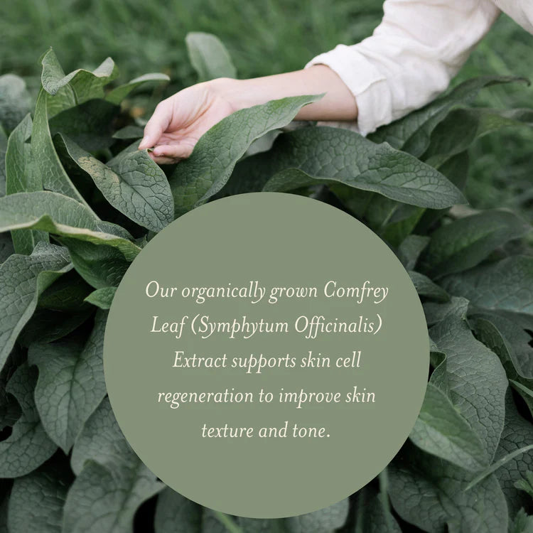 The Herb Farm Smoothing Kiwifruit Exfoliator