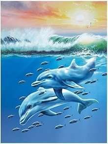 4D Dolphins H090 29x39 - MarshallsHealthShop