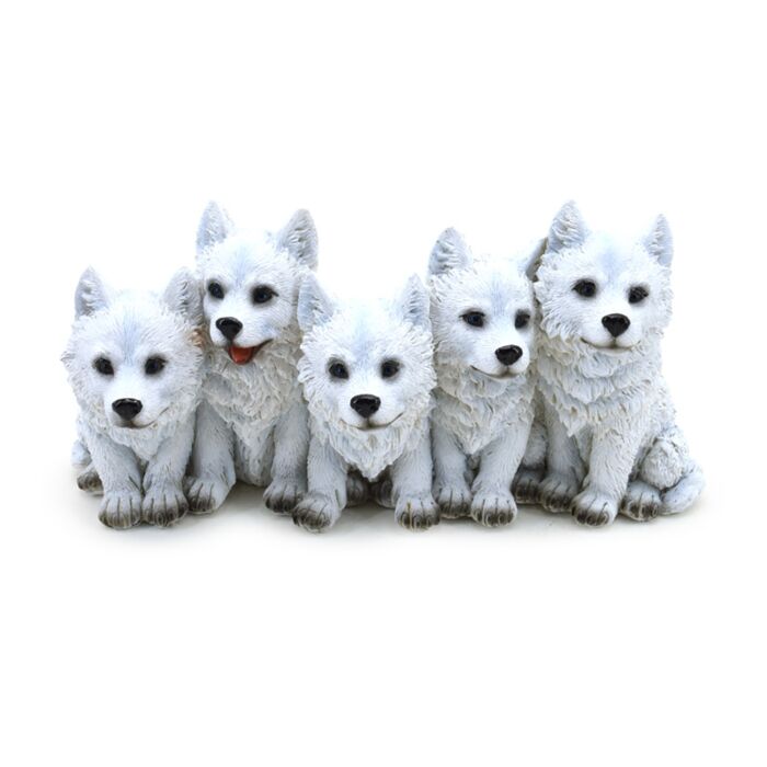 5 Mischievous Wolf Puppies# - 1st Stop Marshall's Health Shop, Gift Shop! - Heath and Natural Therapy New Brighton Christchurch - Naturopath#