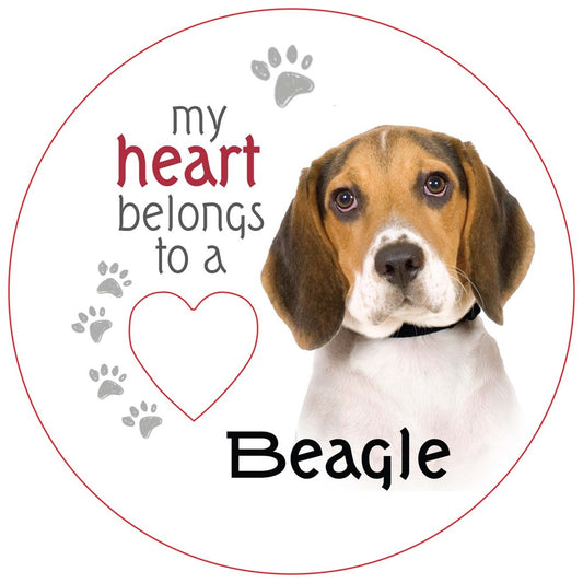 Beagle Piece of My Heart Magnet&nbsp;
W:7 x D:7 cm - Magnet - 7 cm Diameter, MDF Magnets with Cut out Heart.

SKU; RCPHM41