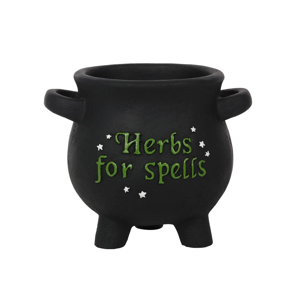 Small Herbs For Spells Cauldron