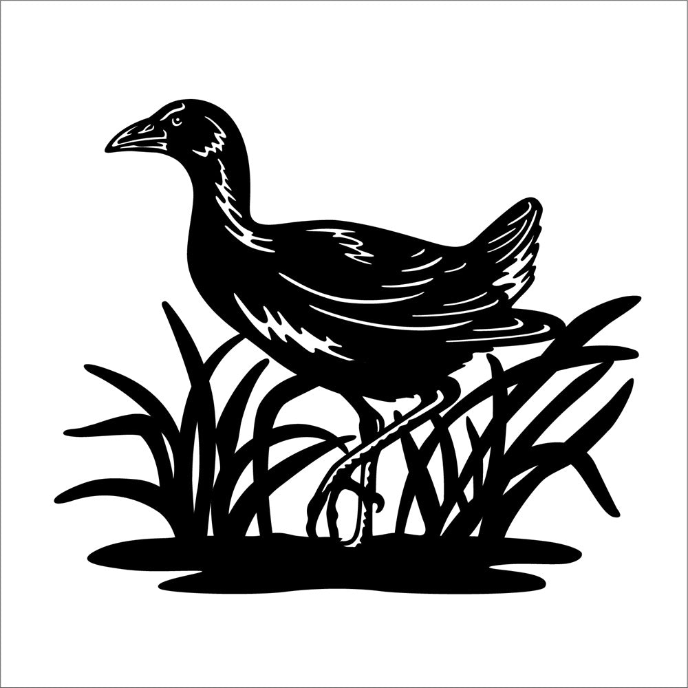 Metal Wall Art Pukeko