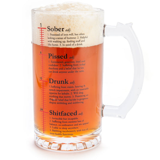 Drinktionary Beer Stein